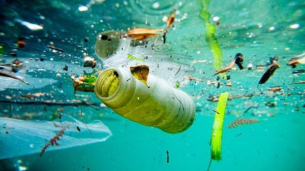 9. Avrupa Parlementosu, Avrupa Birliği yasalarında plastik satımını ve üretimini yasaklamaya yönelik bir değişiklik yaptı.