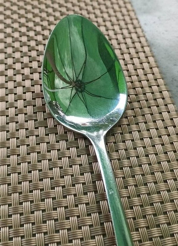 12. Отражение зонтика создает впечатление, будто в ложке есть паук