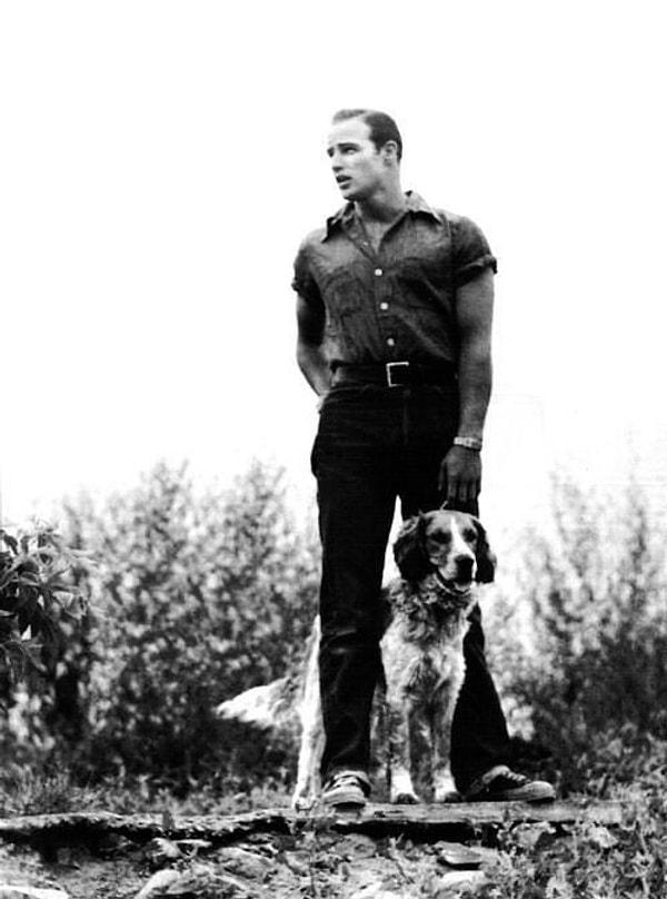 10. Marlon Brando'ya bir röportajda "Gelmiş geçmiş en iyi aktör olduğunuzun farkında değil misiniz?" denince, Brando köpeği Tim'e dönmüş ve "En iyi aktör Tim. Yiyecek bir şey isteyince beni seviyor gibi yapıyor" demiştir.