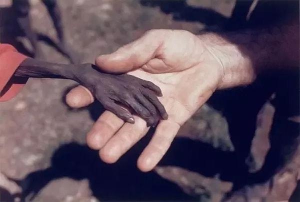 6. Açlık çeken bir insana uzatılan yardım eli.