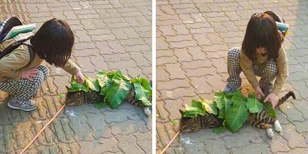 13. "Çin'de yaşayan bu küçük kız bir kedinin üstünü yapraklarla örterek üşümesini engellemeye çalışıyor."