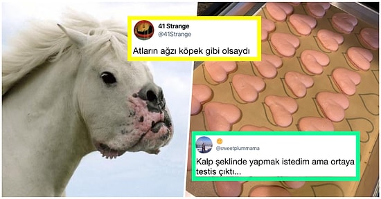 Denizaşırı Mizahta Bu Hafta: Son Günlerde Yabancıları Kahkahaya Boğmuş 17 Komik Tweet