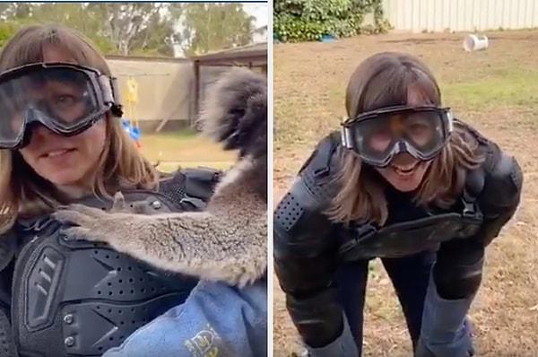 Avustralya Çevre Bakanı Sussan Ley, koala nüfusunun yangınlardan "olağanüstü darbe" aldığı ve tahribat nedeniyle "nesli tükenmekte olan hayvanlar" listesine girebileceği uyarısını yapmıştı.