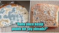 Herkesin Başka Bir Şey Söylediği Konuya Noktayı Koyuyoruz: Küflü Ekmek Yemek Zararlı mı?