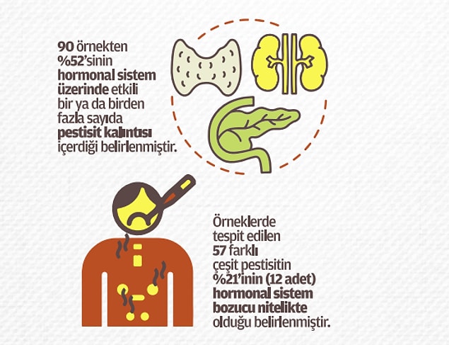 Yarısı hormonal sistemi etkiliyor