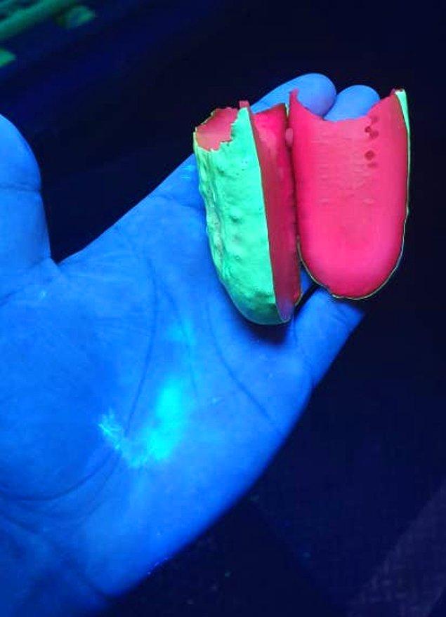 1. Ultraviyole ışığı altında bakılan salatalık turşusu.