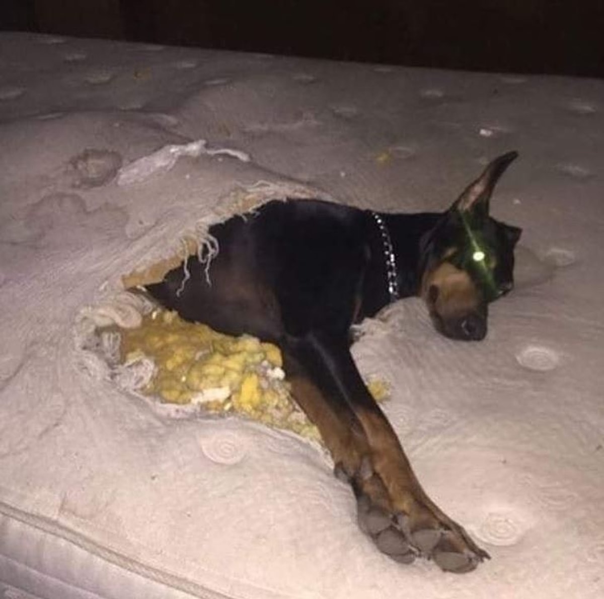 Картинки посылающие матом. Смешная селедка. Селедка в шубе. Когда друг забыл дать одеяло. Мем про ночевку у друга.