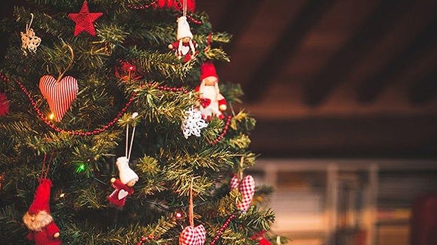 14. Amerika'da kutlanan ilk Noel 1539 sıralarında Talahassee'de gerçekleşmiştir.