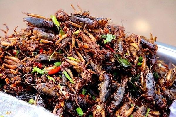 16. Bir dakikada en çok hamam böceği yeme