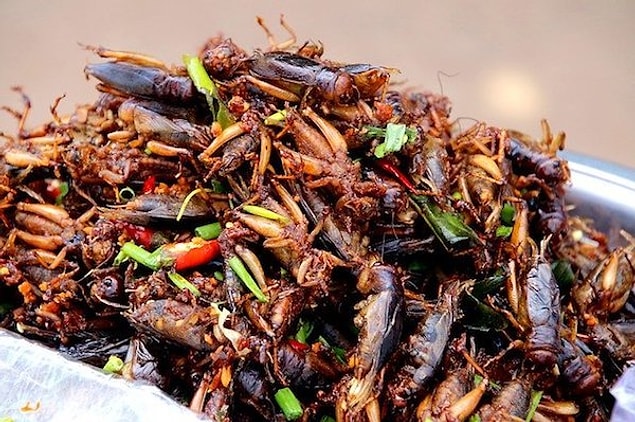 16. Bir dakikada en çok hamam böceği yeme