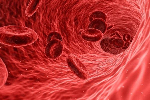 2. İçerisinde B12 ve folik asit yer alır. Bu maddeler sayesinde kırmızı kan hücrelerinin oluşumu destekleyerek kansızlığı giderir.
