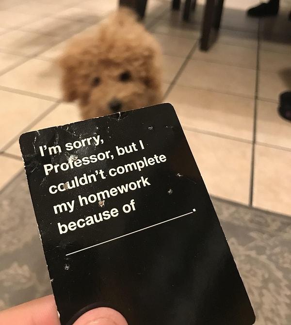 9. "Köpeğimin özellikle bu kartı çiğneyerek getirmesi çok komik..."