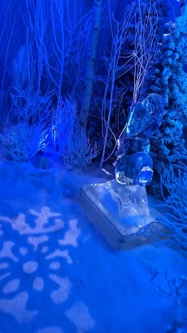 В Ледяном мире повсюду ледяные скульптуры, даже мебель сделана из льда.