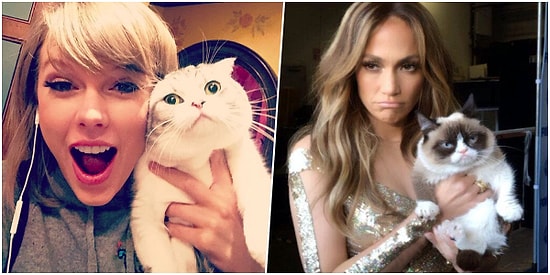 Dünyanın En Zengin Kedisini Bulabilecek misin?