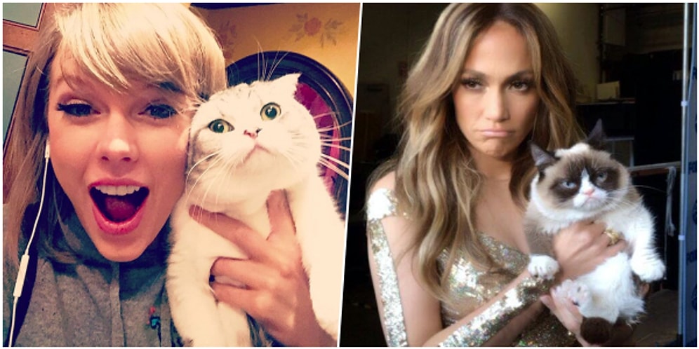 Dünyanın En Zengin Kedisini Bulabilecek misin?