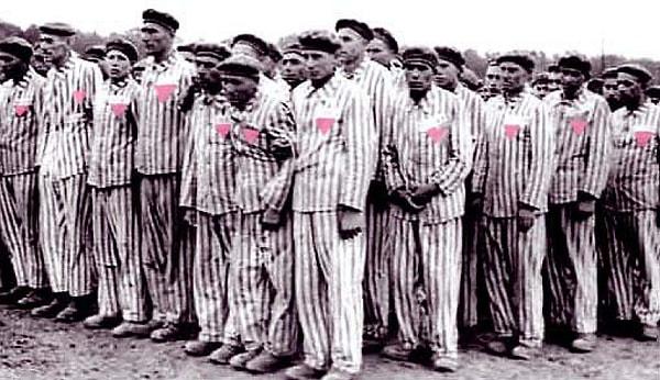 20 Ocak 1942’de ana kampta 22 eşcinsel erkek olduğu ve aynı yılın Ağustos ayında tüm Auschwitz kompleksinde 28 eşcinselin bulunduğu biliniyor.