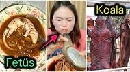 Bir Saniye Bile Görmeye Tahammül Edemeyeceğiniz Çin Mutfağının En Mide Bulandırıcı Yiyecekleri