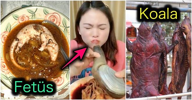 Bir Saniye Bile Görmeye Tahammül Edemeyeceğiniz Çin Mutfağının En Mide Bulandırıcı Yiyecekleri