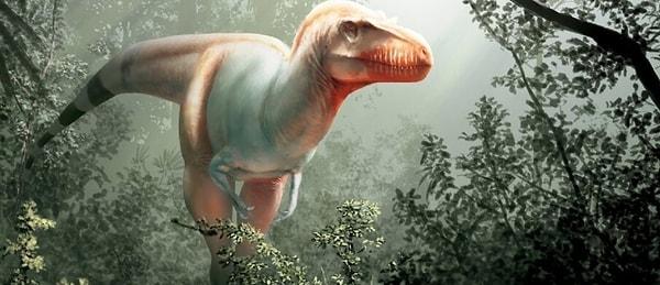 Bilim insanları Pazartesi günü, Kuzey Amerika'da bundan 79 milyon yıl önce yaşamış olduğu düşünülen 'Tyrannosaurus rex' türüne benzer bir dinozor türü keşfettiler.