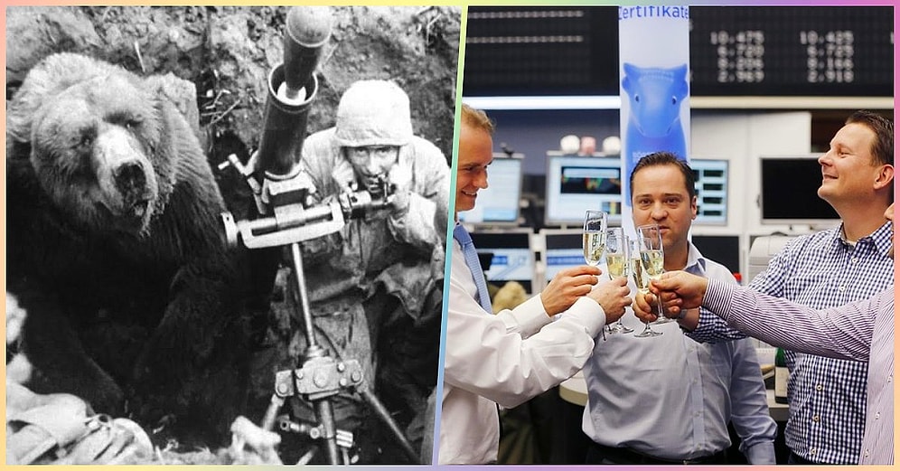 Acayip Bilgiler Kuşağı: Öğrendikten Sonra Hayretler İçinde Kalmanıza Neden Olacak 15 İlginç Gerçek