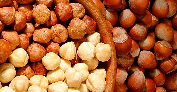 Fındık