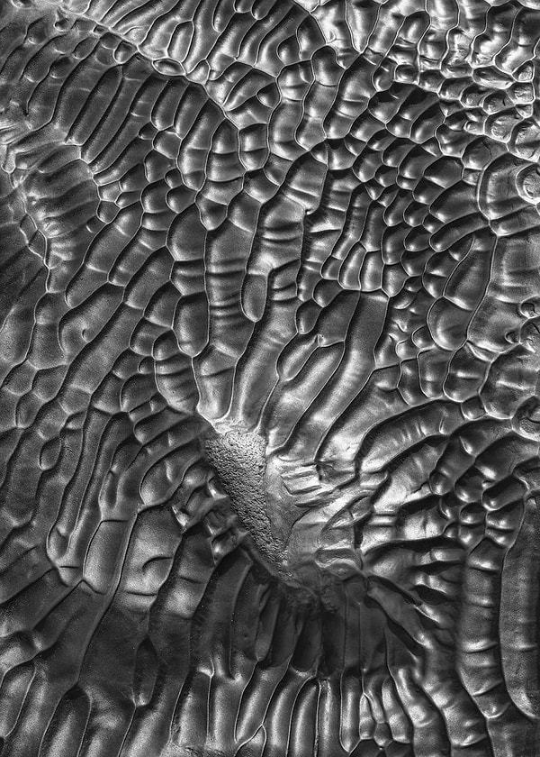 Победитель: Блефельс, Исландия, Олег Ершов