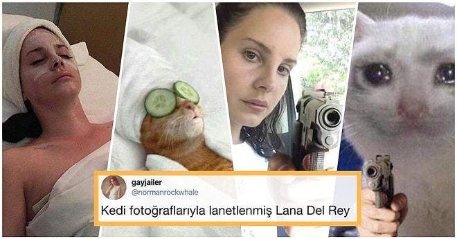 Lana Del Rey’den Daha Lana Del Rey Olan Kedilerin Muhteşem Benzerlikleri Size Kocaman Bir Kahkaha Attıracak!