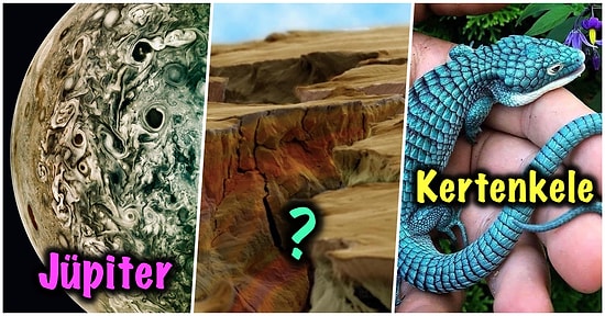 Bu Haftalık Bu Kadar İnternet Yeter: Şaşırma Kotanızı Ağzına Kadar Dolduracak 15 Yeni Görsel