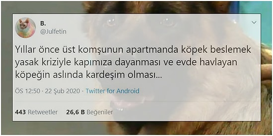 Aile Üyelerini Mizahlarına Alet Eden Goygoyculardan Haftanın En Eğlenceli 15 Paylaşımı