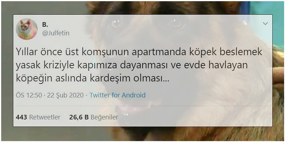 Aile Üyelerini Mizahlarına Alet Eden Goygoyculardan Haftanın En Eğlenceli 15 Paylaşımı