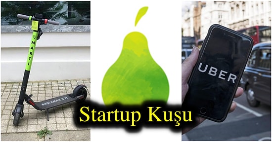 Startup Dedikoduları: Ergen İnternet Startupları