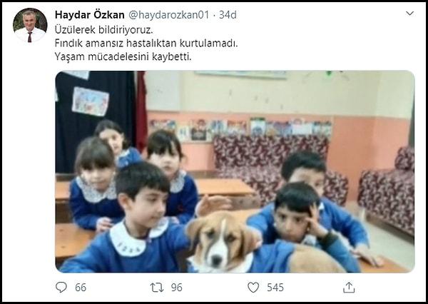 'Fındık'ın yaşam mücadelesini kaybettiğini HayKonfed Temsilcisi Haydar Özkan duyurdu.