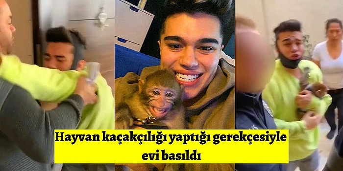 Sosyal Medya Fenomeni Meriç İzgi'nin Maymunu Koko, Vahşi Olduğu Gerekçesiyle Alındı!