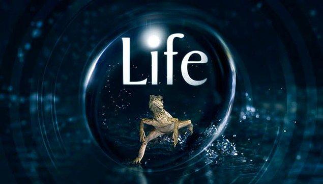 4. Hayat (Life):