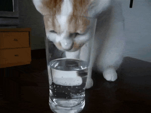 4. Günde kaç bardak su içiyorsun?