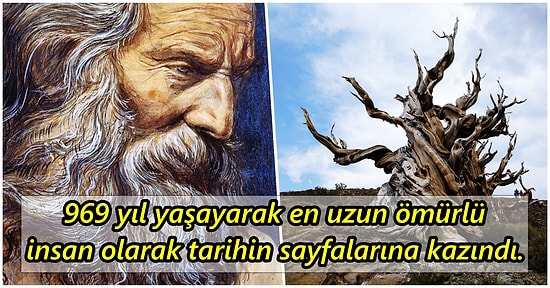 969 Yaşında Ölen ve Dünya Üzerinde En Uzun Süre Yaşayan İnsan Olarak Tarihe Geçen Bilge: Metuşelah