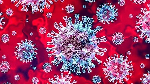 Koronavirüsle savaşmada en etkili yolun bağışıklık sistemini güçlü tutmak olduğunu artık hepimiz biliyoruz.