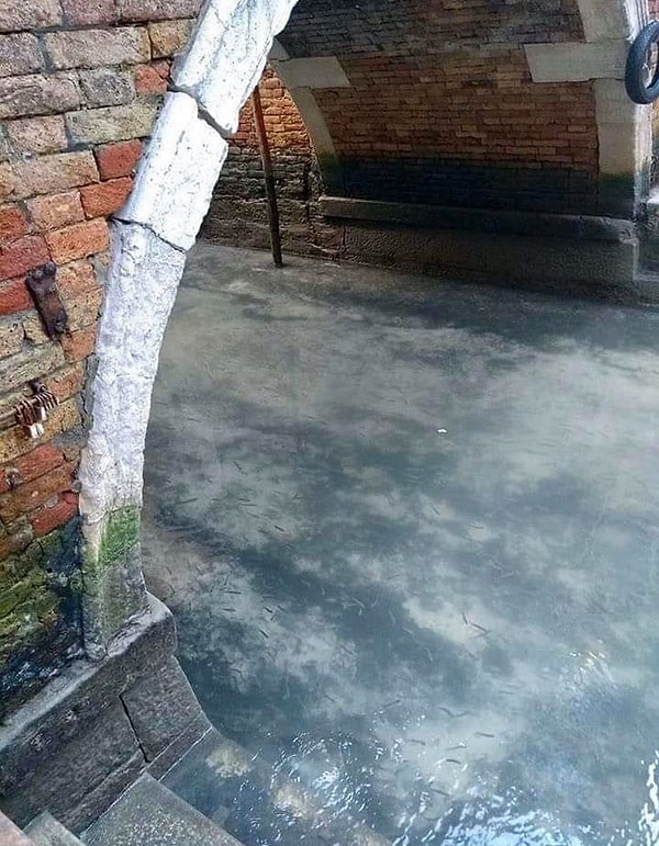 Сами итальянцы также сообщили о заметных изменениях в окружающей среде.