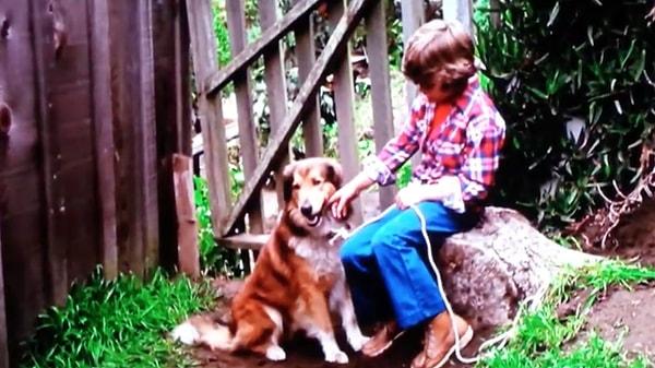 21. The Pack (1977)