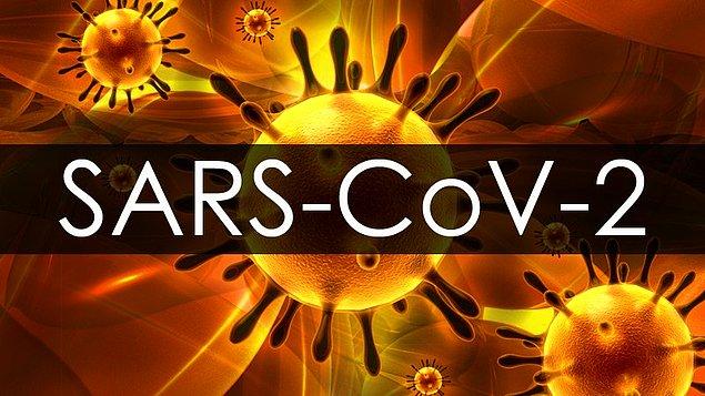 Uluslararası Virüs Taksonomisi Komitesi tarafından hastalığa sebep olan virüs, SARS-Cov-2 olarak adlandırıldı. İsimdeki SARS kısmı 2003'deki SARS salgını ile yeni Koronavirüsün genetik olarak ilişkili olmasından dolayı seçildi.