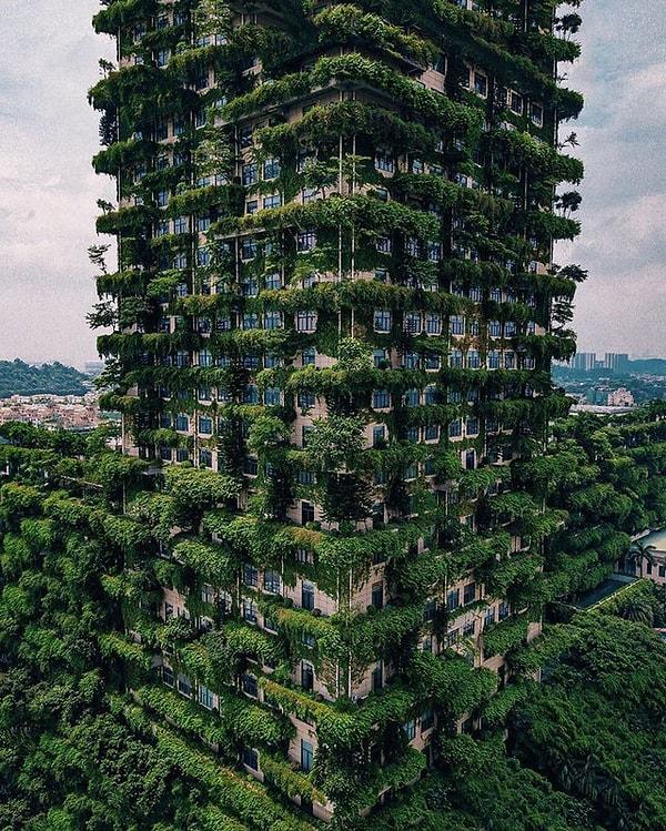 8. Çin'in Foshan kentinde binaların dışları bu şekilde ağaçlandırılmış. Hem temiz hava sağlıyor hem de rüzgar esintisi yaratıyor.