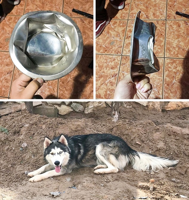 12. "Başka, metal bükebilen köpeği olan var mı aranızda?"