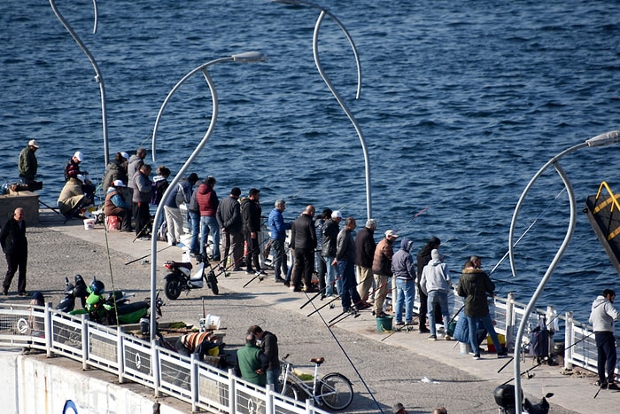 #EvdeKal Çağrıları Karşılık Bulmadı: Vatandaşlar Sahil ve Piknik Alanlarını Doldurdu