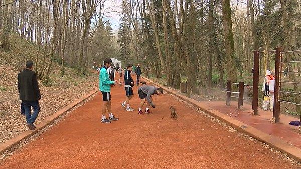 Piknik yapılması ve ateş yakılmasının yasaklanmasının ardından vatandaşlar spor yapmak için Belgrad Ormanı'na gitmeye devam ediyor.