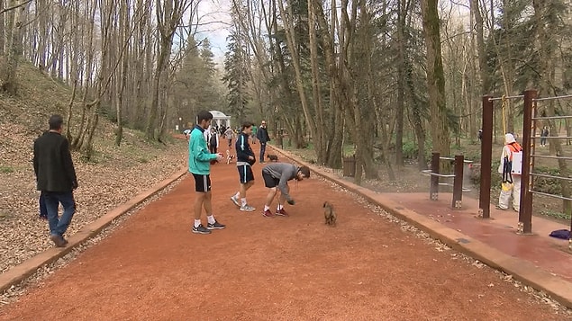 Piknik yapılması ve ateş yakılmasının yasaklanmasının ardından vatandaşlar spor yapmak için Belgrad Ormanı'na gitmeye devam ediyor.
