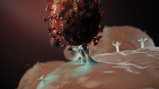 Koronavirüs İnsanlarda Hücrenin İçine Nasıl Giriyor?