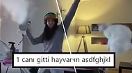 Twitter'ın Mizahşörleri Tarafından Paylaşılmış Geçtiğimiz Haftanın En İyi 49 Videosu