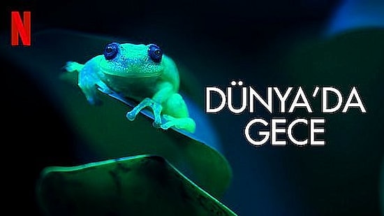 Netflix'te Çocuklarınıza Güvenle İzletebileceğiniz Dizi, Film ve Belgeseller