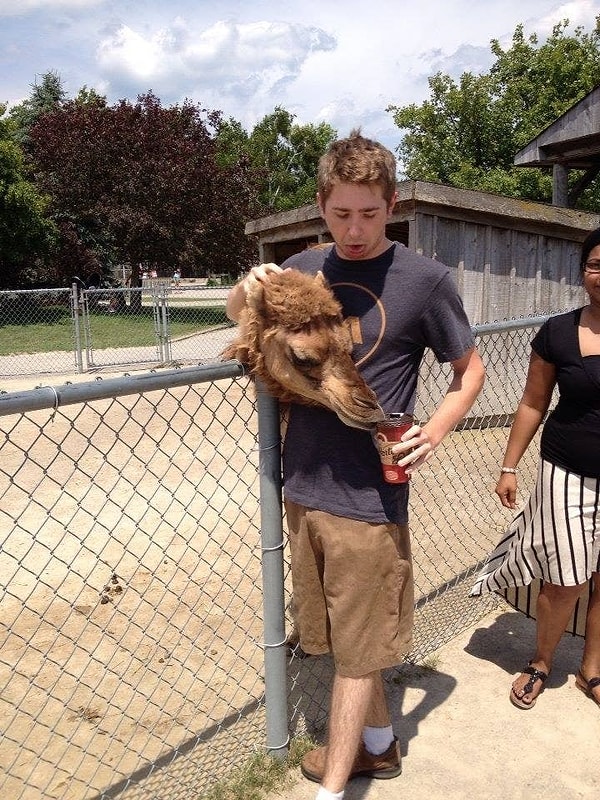 8. От кофе можно голову потерять: