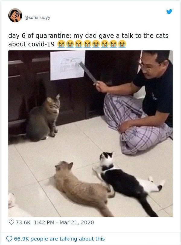 6. "День 6: мой папа разговаривает с кошками о коронавирусе"